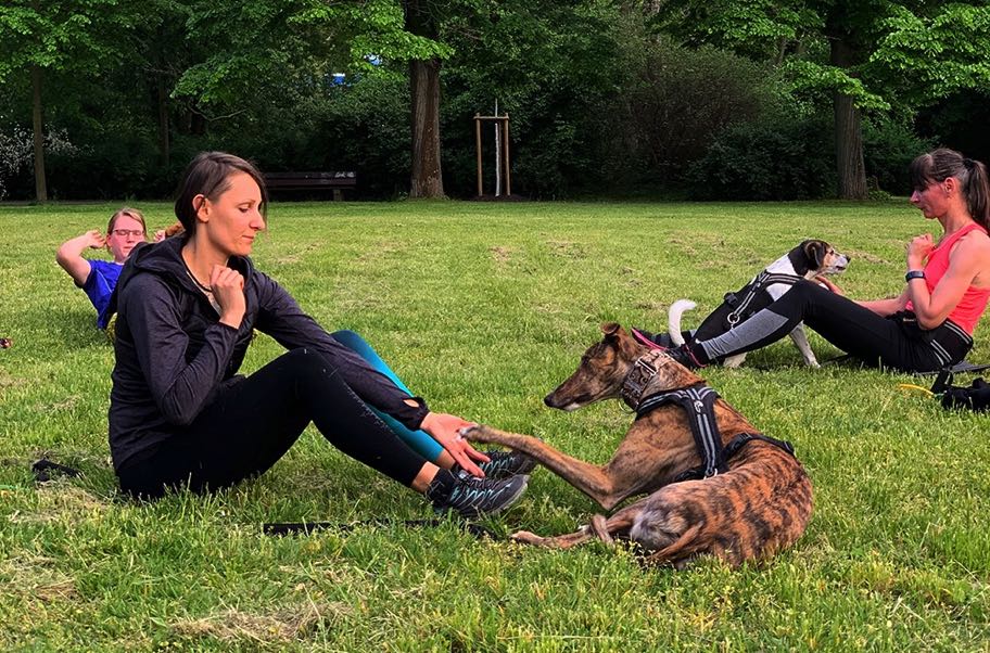 Team Fit - Mensch und Hund: Fitnesstraining von Monique Hunger mit Hund in Leipzig
