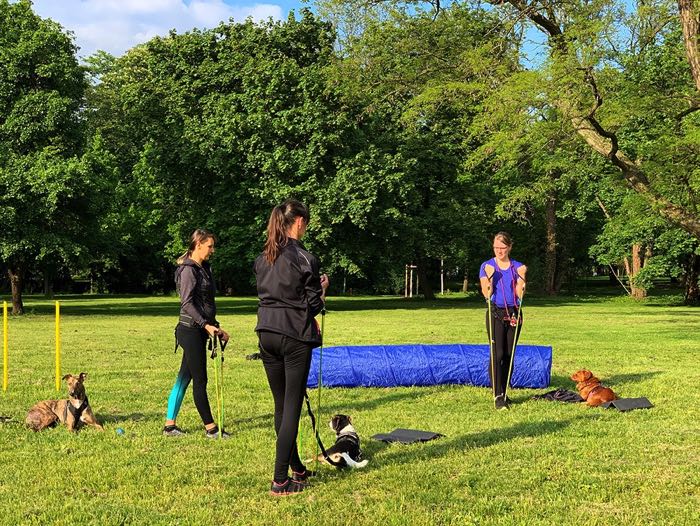 Fitnesstraining bei Team Fit - Mensch und Hund