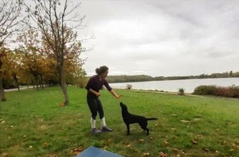 Conny’s Erfahrungen beim Training mit Team Fit - Mensch und Hund in Leipzig