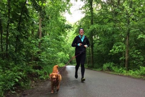 Kurs: Running mit Hund bei Team Fit - Mensch und Hund in Leipzig