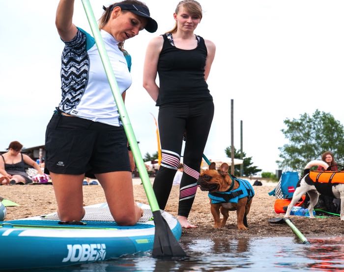 Stand Up Paddling mit Hund - Einweisung: Kurs von Team Fit - Mensch und Hund in Leipzig