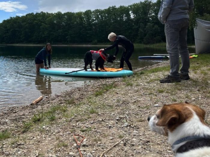 Stand Up Paddling mit Hund - Referenz Christine