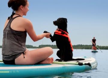 Kurs: Stand Up Paddling mit Hund bei Team Fit - Mensch und Hund in Leipzig