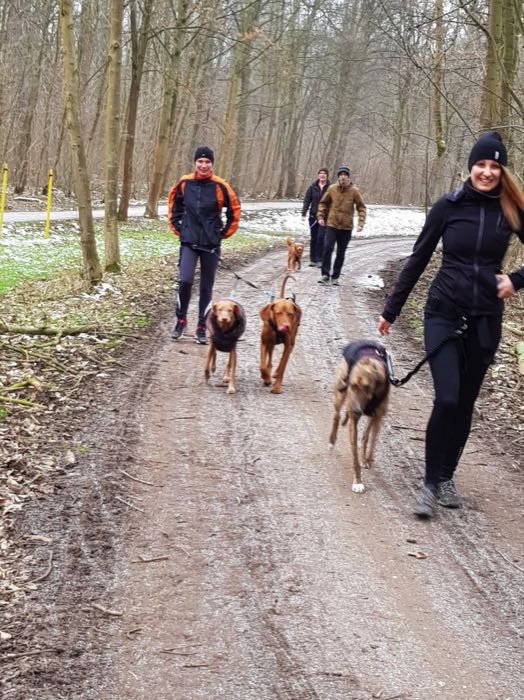 Spaziergang der Sinne mit Hund in Leipzig von Monique Hunger