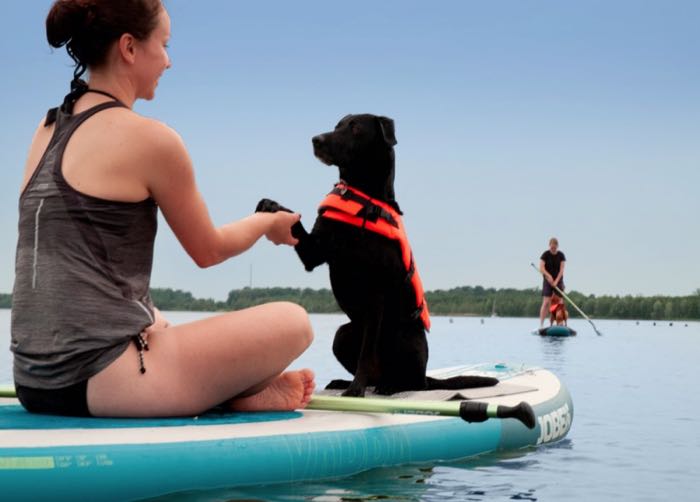 SUP mit Hund: Kurs von Team Fit - Mensch und Hund in Leipzig