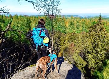 Spaziergang der Sinne mit Hund in Leipzig