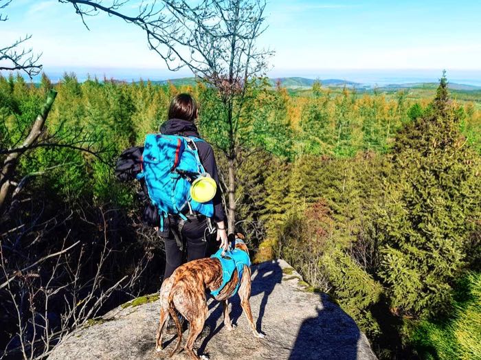 Spaziergang der Sinne mit Hund in Leipzig