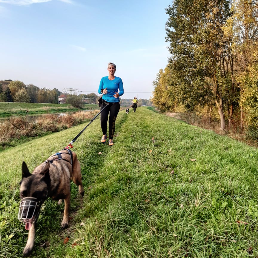 Mit Hund Joggen